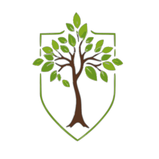 logo de escuela online