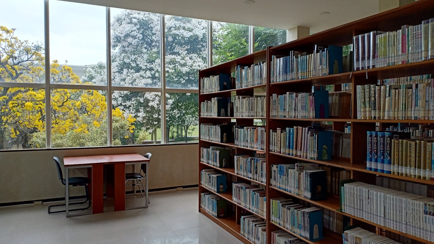 Fe en la Universidad: La Importancia de un Entorno Cristiano en la Vida Estudiantil